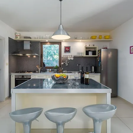 Tatil Evi Malerische Mit Privatpool, Mediterranem Garten, Outdoor-kueche, Waschmaschine, Trockner Višnjan